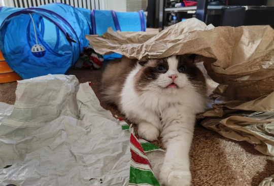 Curso Teste Gratuito